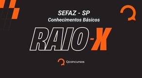 RAIO X SEFAZ SP - Bloco de Direito: Conhecimentos Básicos