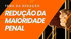 A Redução da Maioridade Penal Seria a Solução? | REDAÇÃO PERFEITA