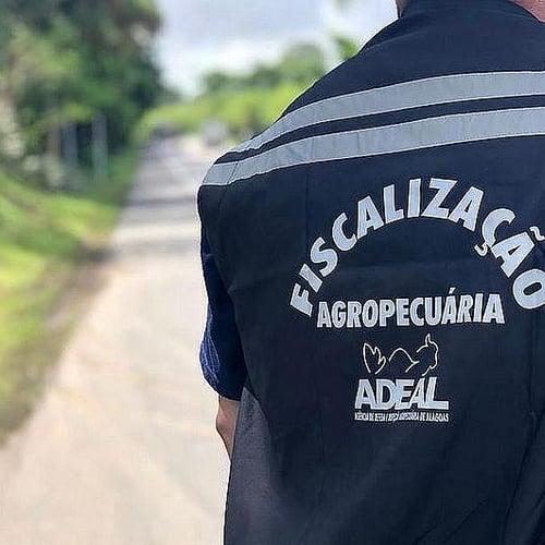Concursos Alagoas (Foto: Divulgação)